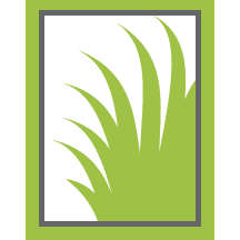 Katy Lawn Treatment