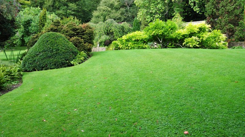 Commercial Lawn Treatment