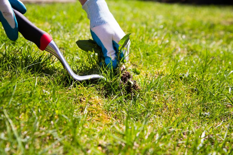 Crabgrass Removal