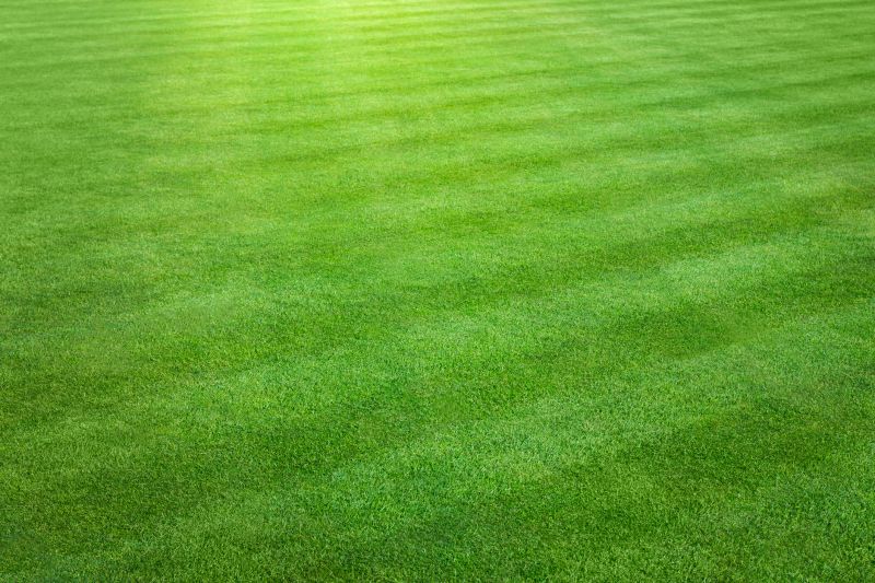 Lawn Treatment detail