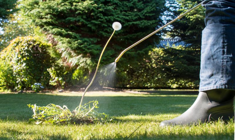 Lawn Weed Treatment Service detail