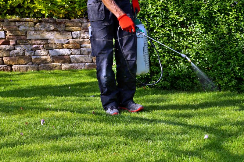 Lawn Weed Treatment Service detail