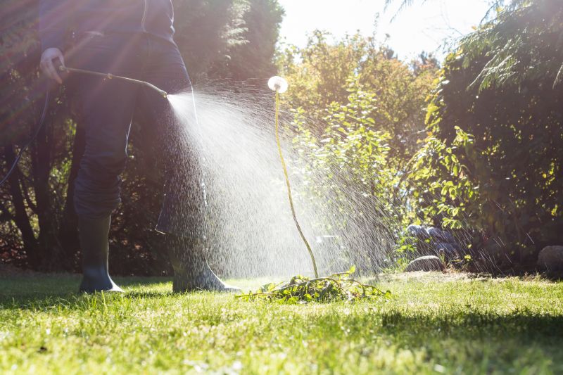 Lawn Weed Treatment Service detail