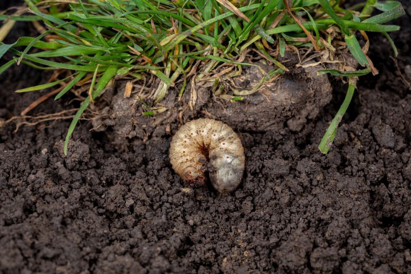 Grub Control project example
