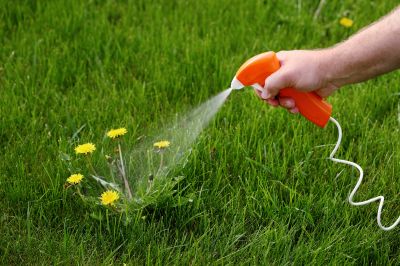 Lawn Weed Spraying