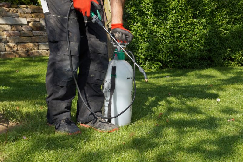 Lawn Weed Spraying