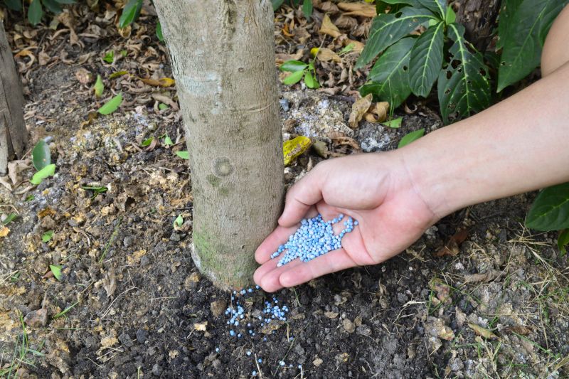 Spring Lawn Fertilization