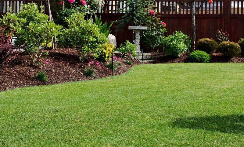 Spring Lawn Repair